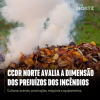 A CCDR-N est&aacute; a avaliar a dimens&atilde;o dos preju&iacute;zos dos inc&ecirc;ndios rurais na Agricultura