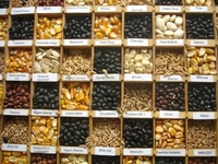 Inspec&ccedil;&atilde;o Fitossanit&aacute;ria - Exporta&ccedil;&atilde;o