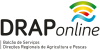 Bolsa de Formadores &ndash; novos servi&ccedil;os disponibilizados no balc&atilde;o de servi&ccedil;os DRAPonline