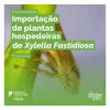Importa&ccedil;&atilde;o de plantas hospedeiras de &laquo;Xylella fastidiosa&raquo; | Proibi&ccedil;&otilde;es